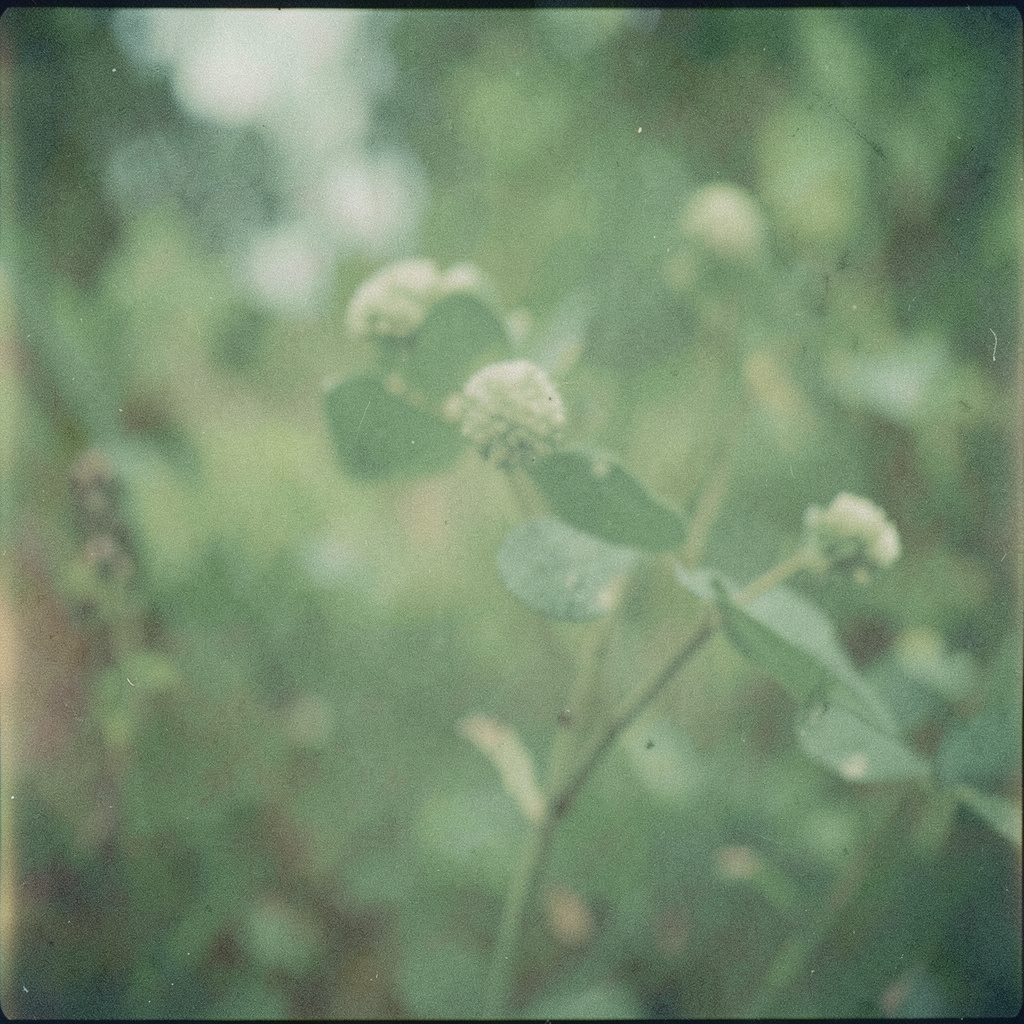 Wide analog film photograph of a dim stage bathed in deep green and navy light with grain, moody and atmospheric